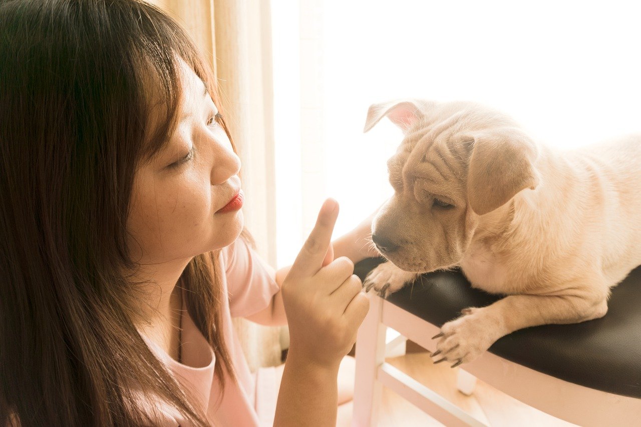dog behavior problems cover