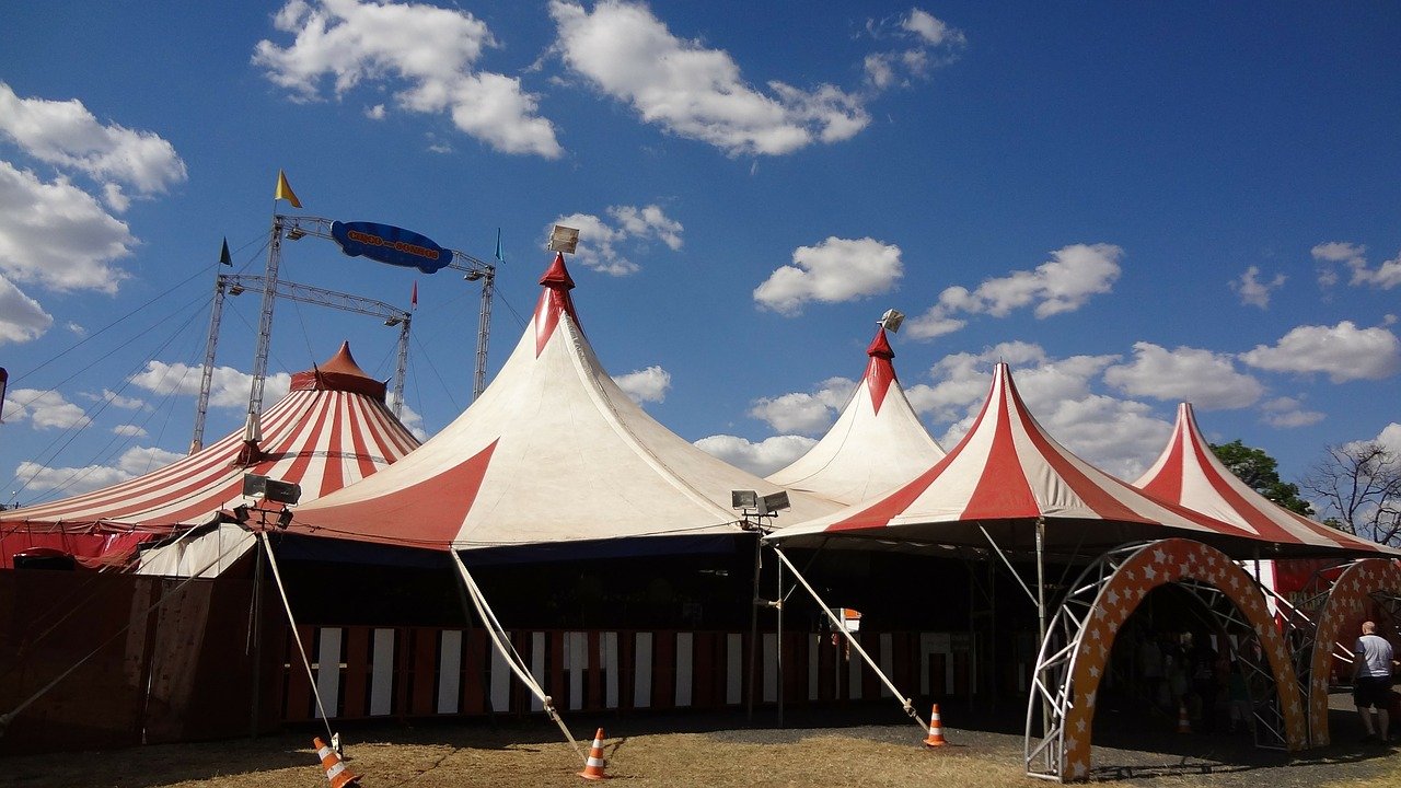 circus animals cover