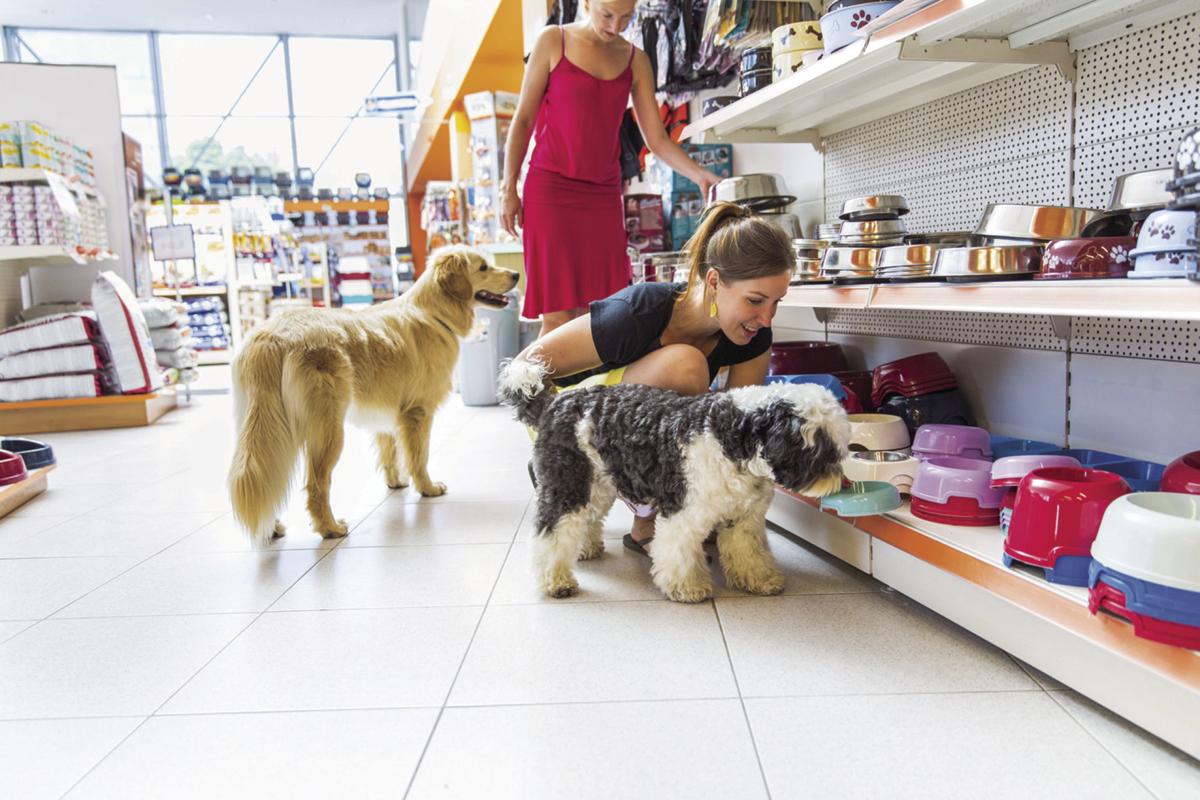 two dogs in a dog-friendly store