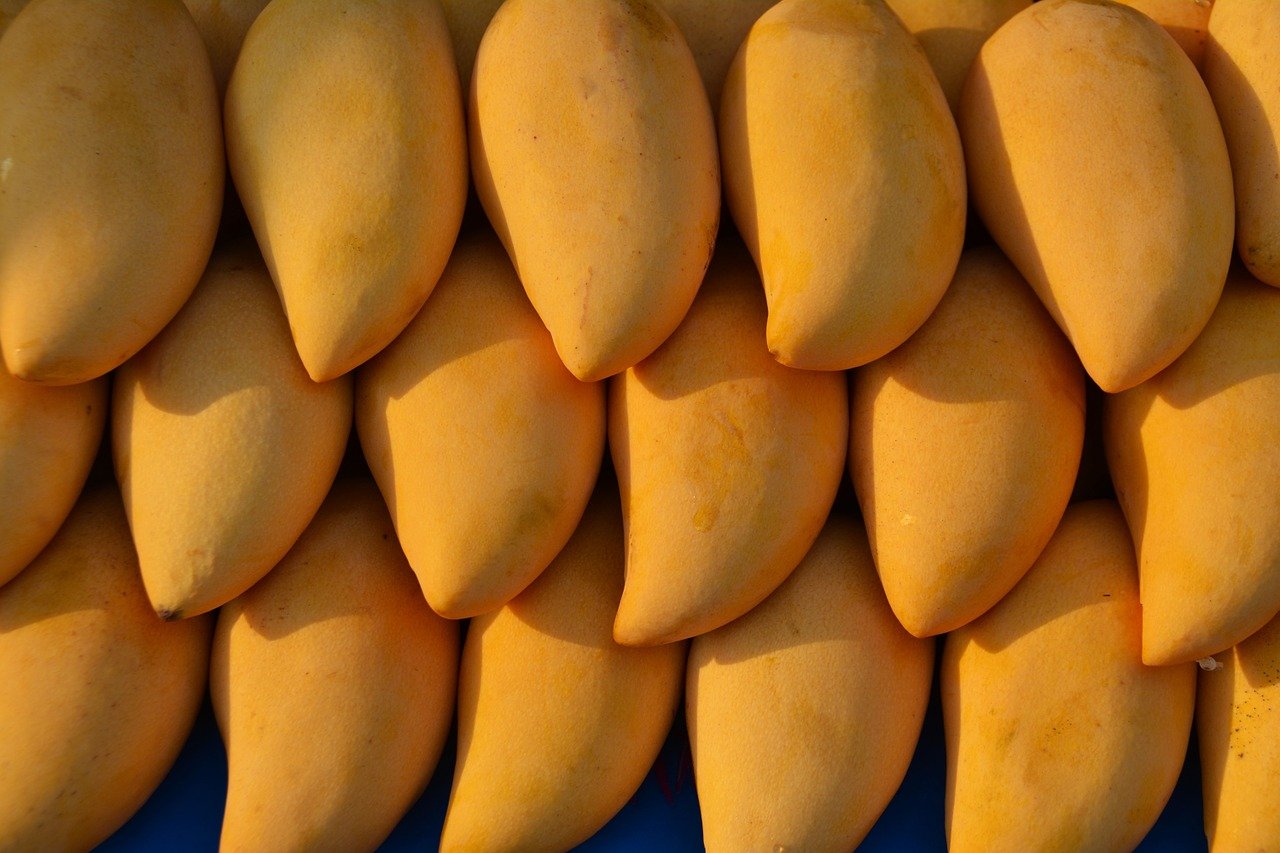 Yellow mangoes kept in an order