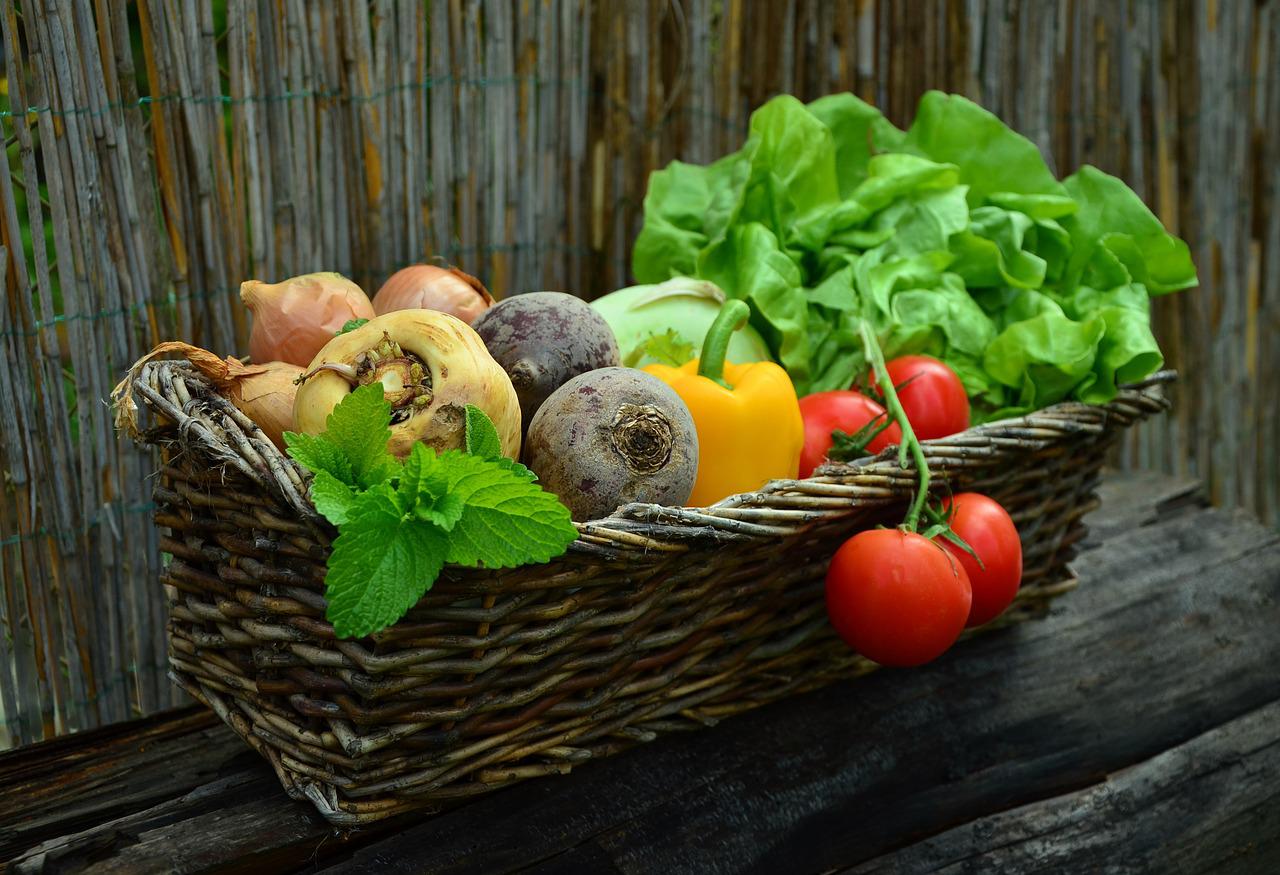 All types of vegetables kept in a basket